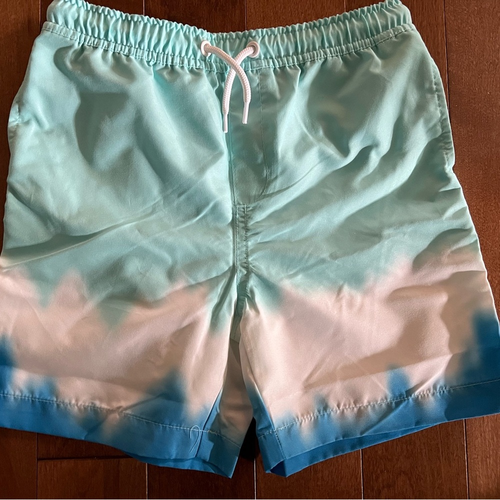 Lands' End Boys Aqua and White Swim Trunks